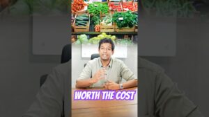 Why Fresh Cut Vegetables Are Worth the Cost?