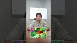 Beyond Convenience: The True Advantages of Fresh Cut Vegetables