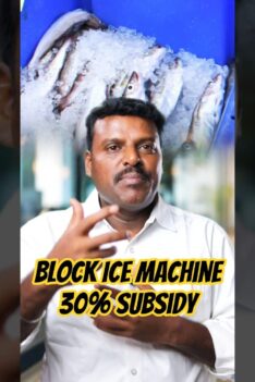 Profitable Block Ice Machine Business Idea with 30% Gov Subsidy