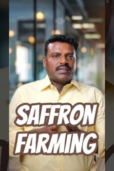 Saffron Farming in Tamil Nadu