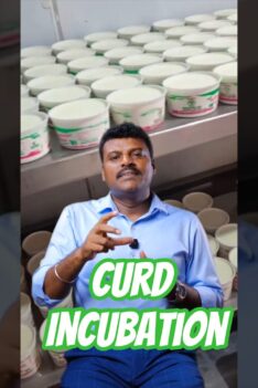 How the Curd Incubation Room Turns Milk into Curd in Just 5 Hours
